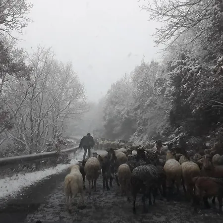 Isaraiko Spiti Agia Theodora