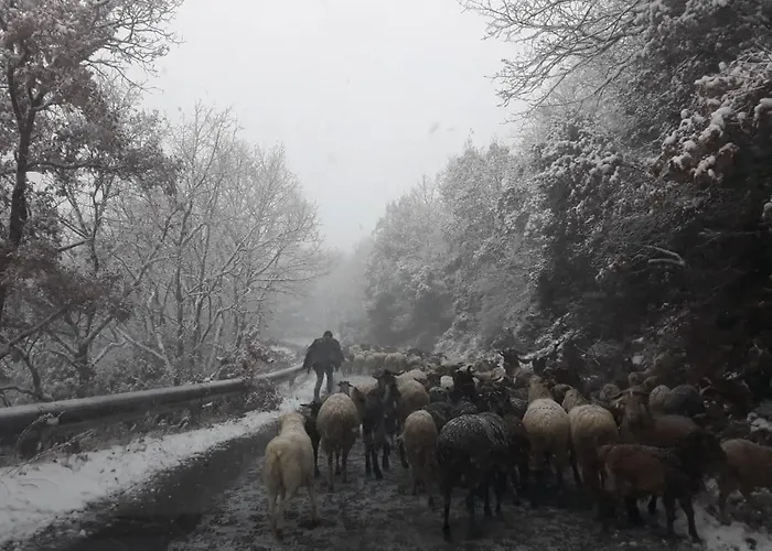 Isaraiko Spiti Agia Theodora