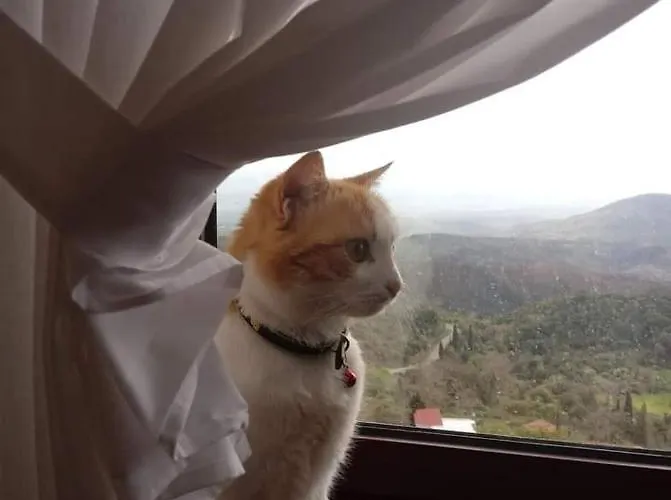 Isaraiko Spiti Agia Theodora 2* Isaris